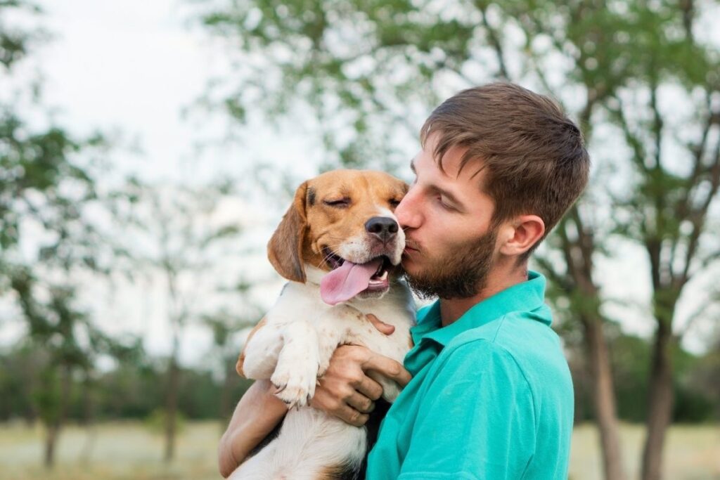 Man in teal shirt holding and kissing his Beagle dog