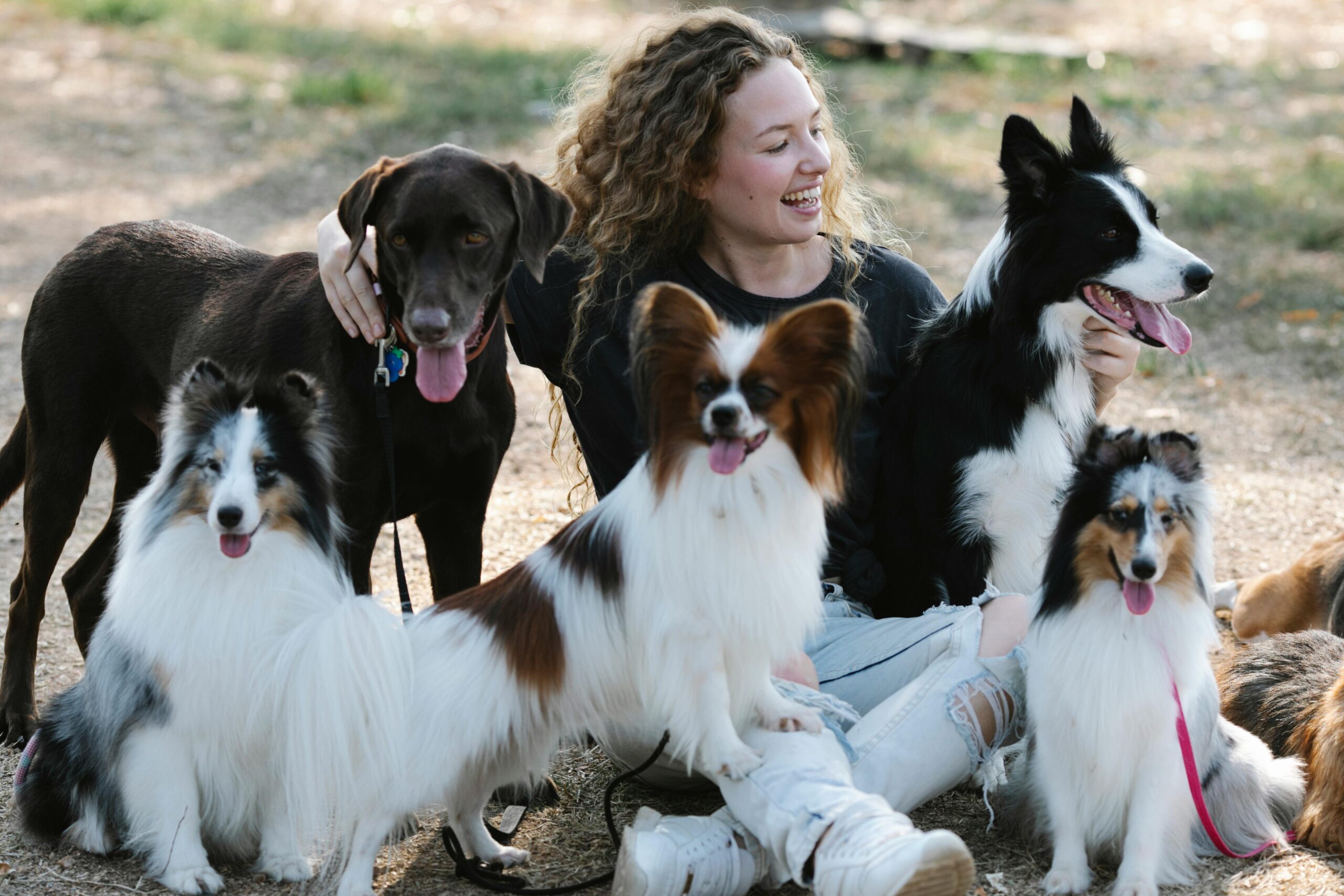 Woman sitting on ground surrounding by several dog breeds