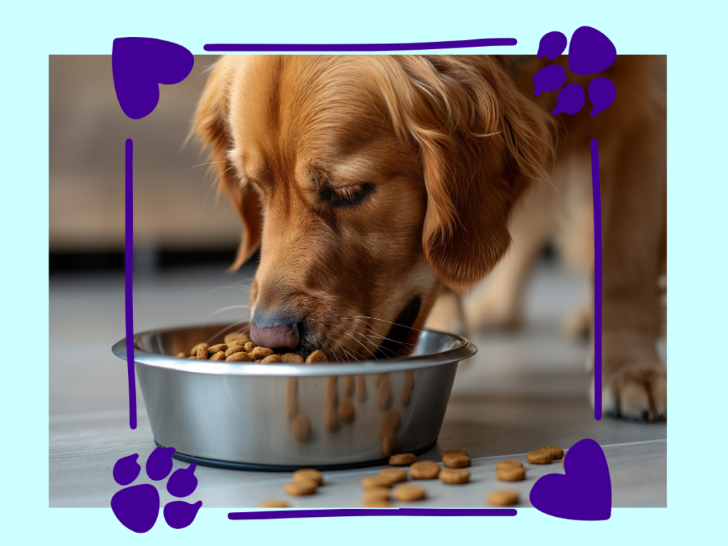 Dog Nutrition