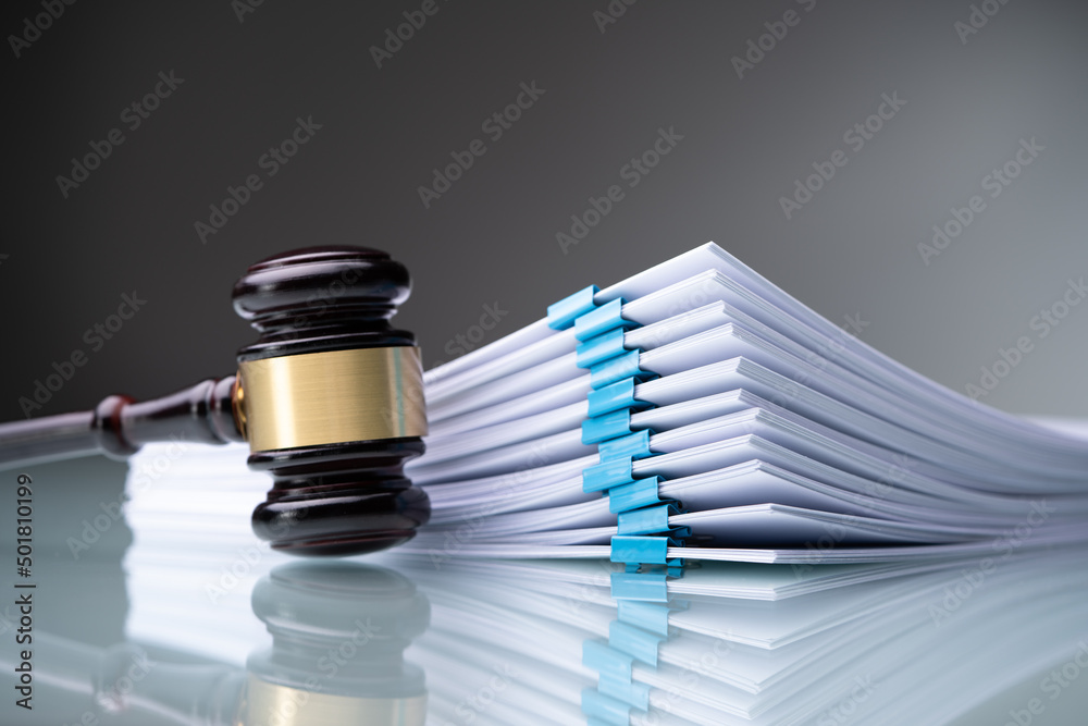 Piles Judicial Court Files, expert veterinary witness