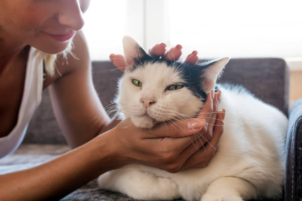 Quality Of Life Woman Holding Onto Cat